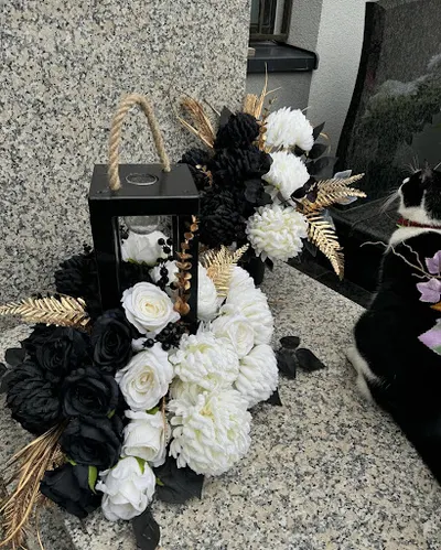 FLORA ARTIS Pracownia florystyczna, Kwiaciarnia Zielona Góra